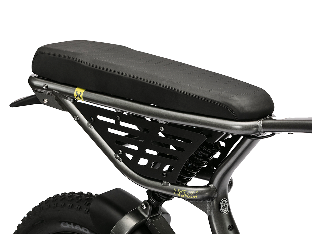 Troxus Lynx T-Scram eBike (2025) – slate, detail view