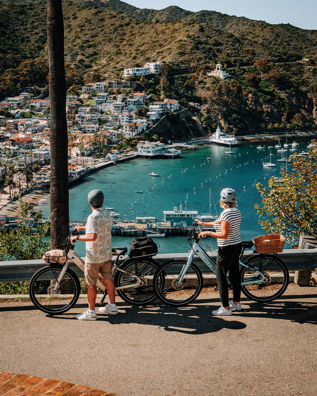 Aventon Pace 4 in mica and blue steel color cruiser casual electric bike available at CyclErie in Erie, CO.