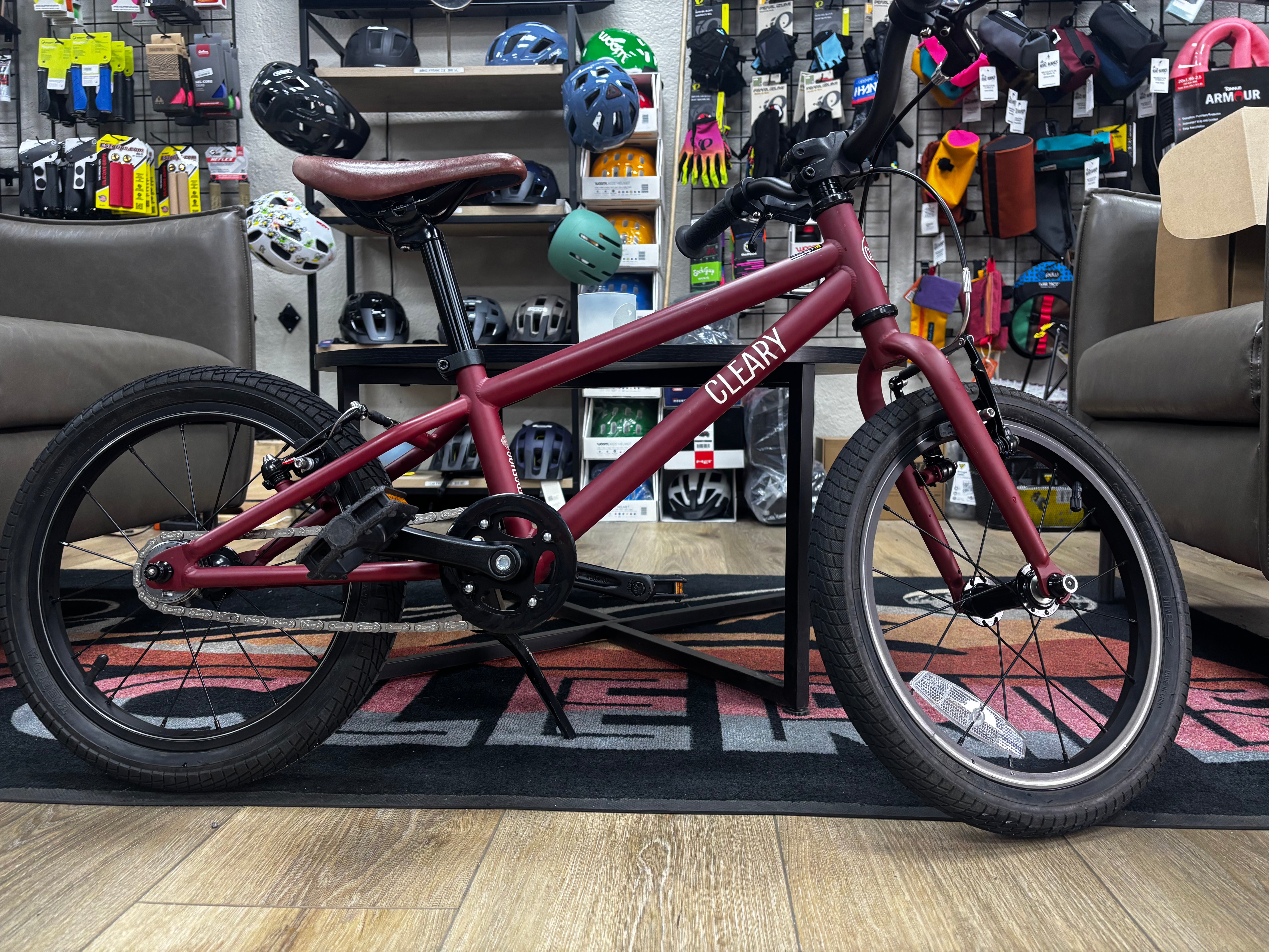 Colorful Cleary Hedgehog 16" Kids Bike in Excellent Condition