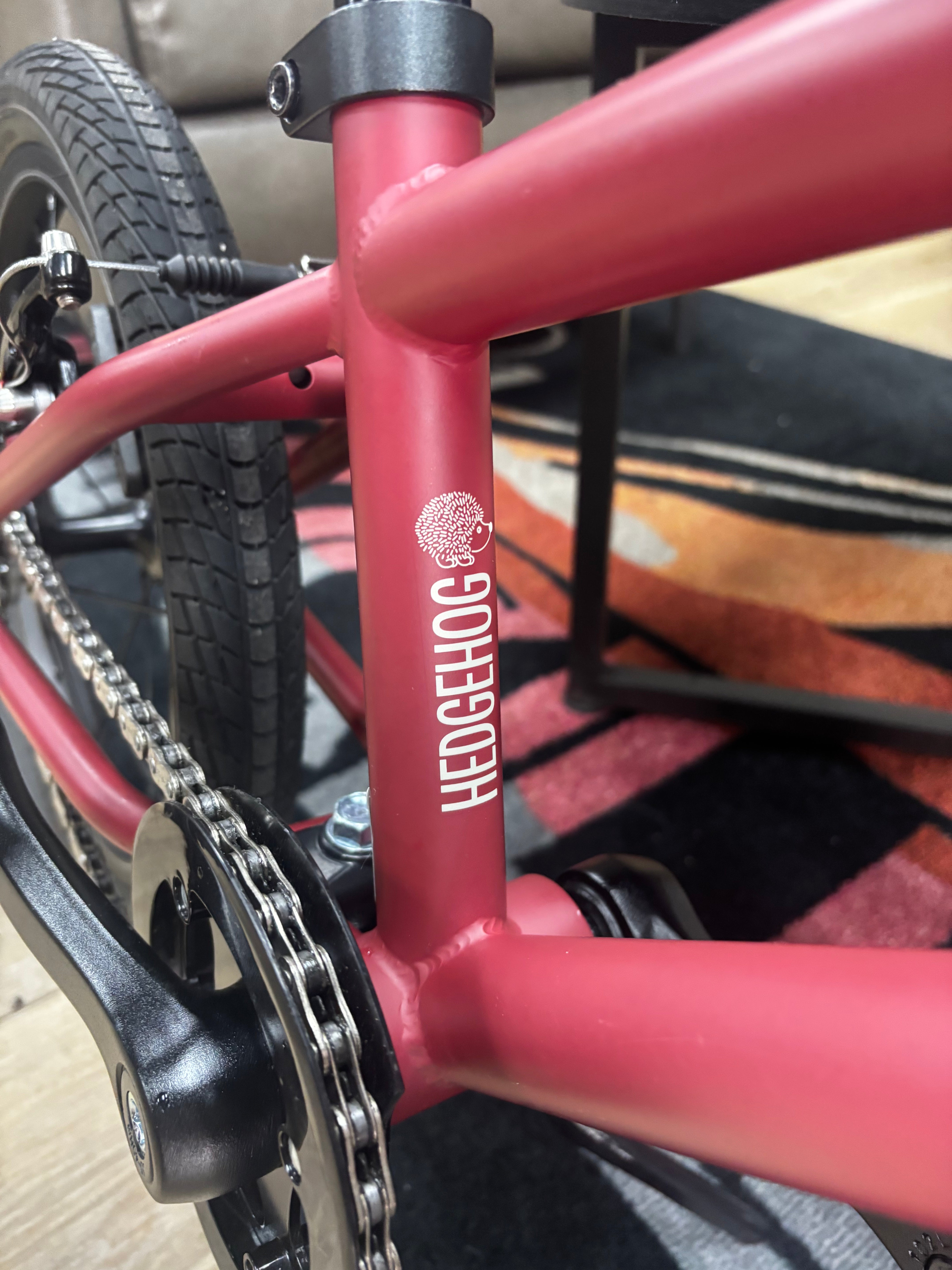 Lightweight Frame and Easy Gears on Cleary Hedgehog 16" Bike