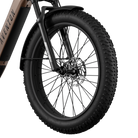 Aventon Aventure 3 tire, displayed at CyclErie’s ebike shop in Erie, CO.