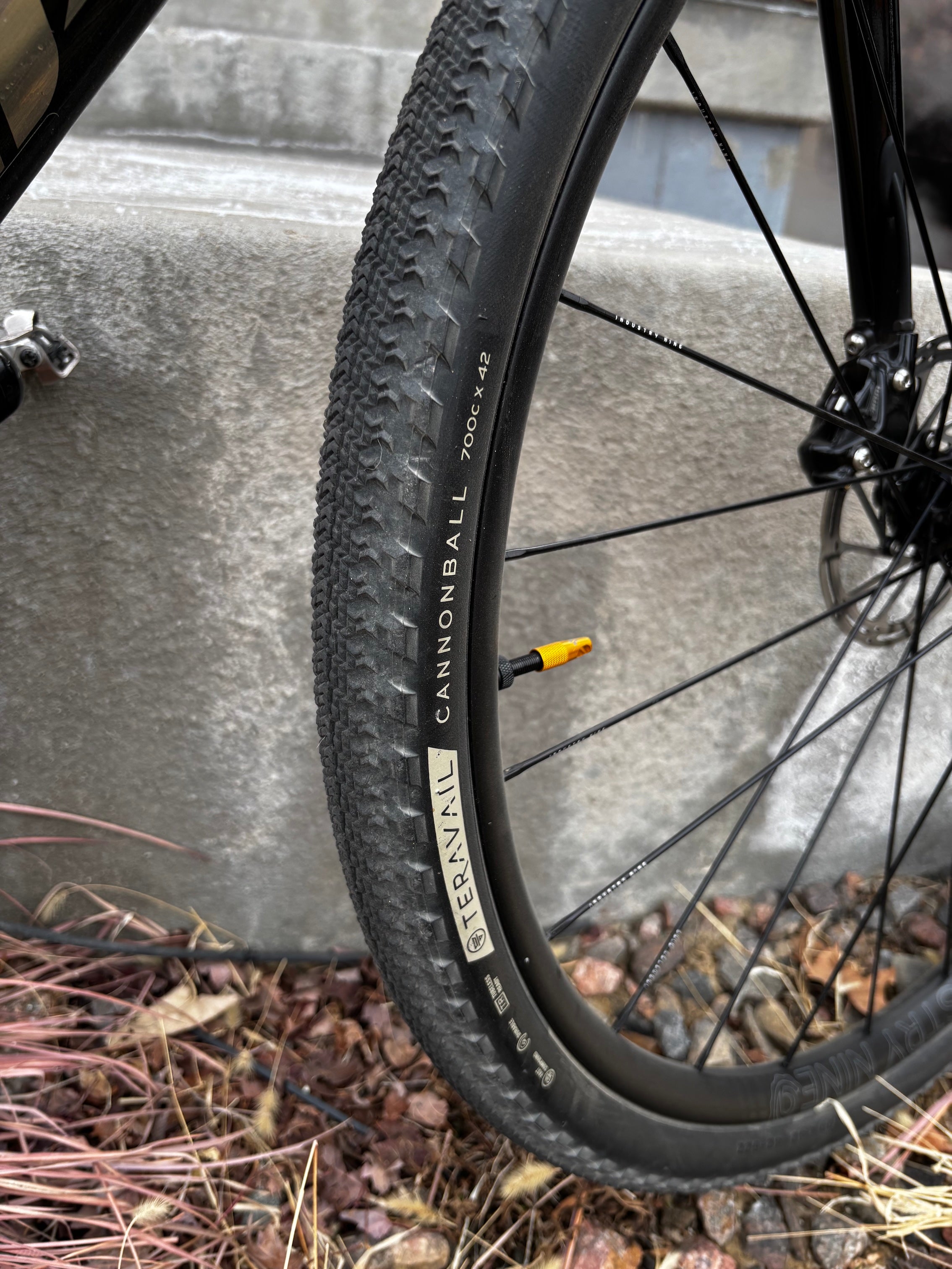 Analog 700c Bike Tire at Erie Colorado CyclErie