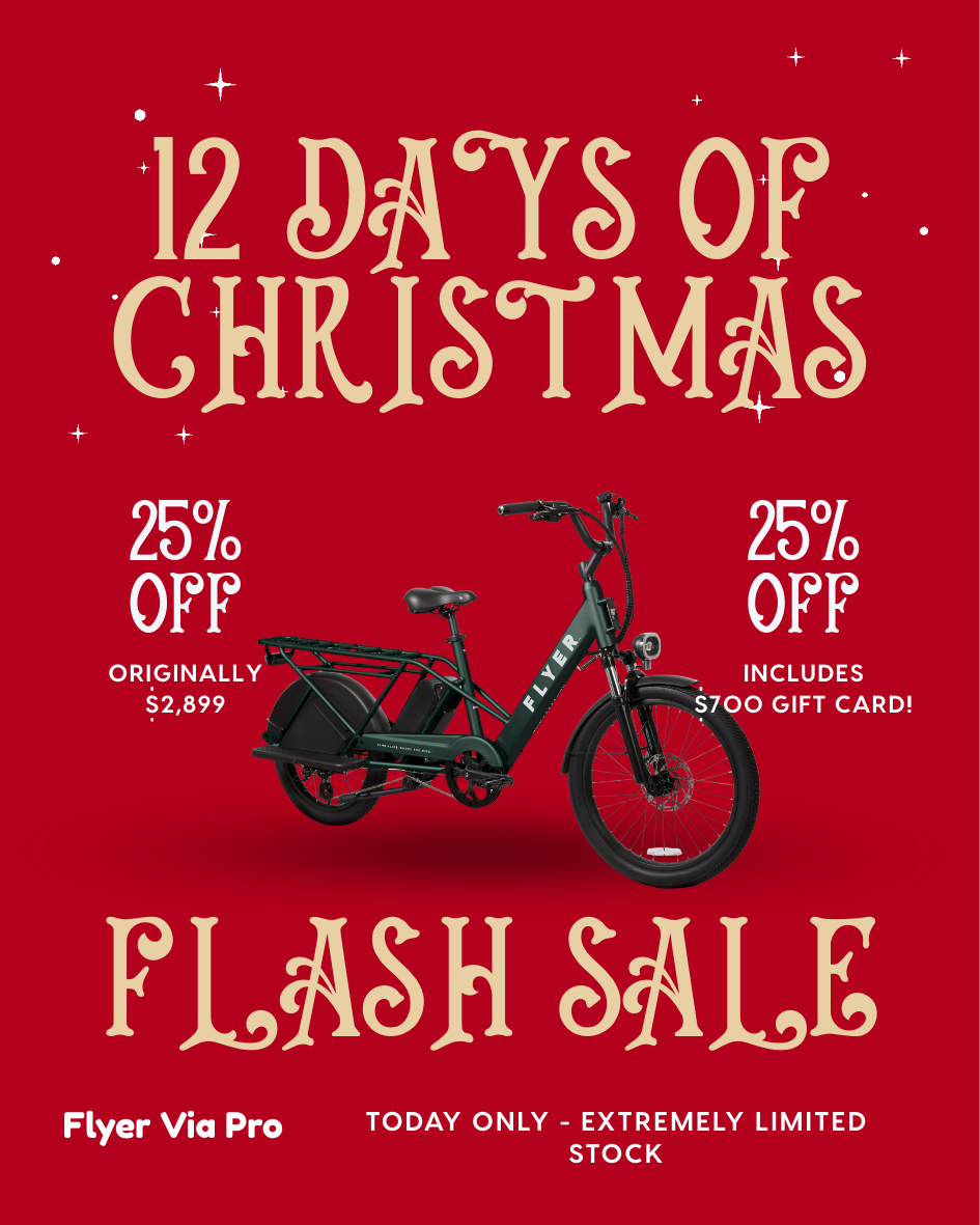 Radio Flyer Via Pro 12 Days of Christmas Flash Sale Cargo eBike at CyclErie Colorado