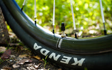 Load image into Gallery viewer, Berd Sparrow Carbon Gravel Wheels
