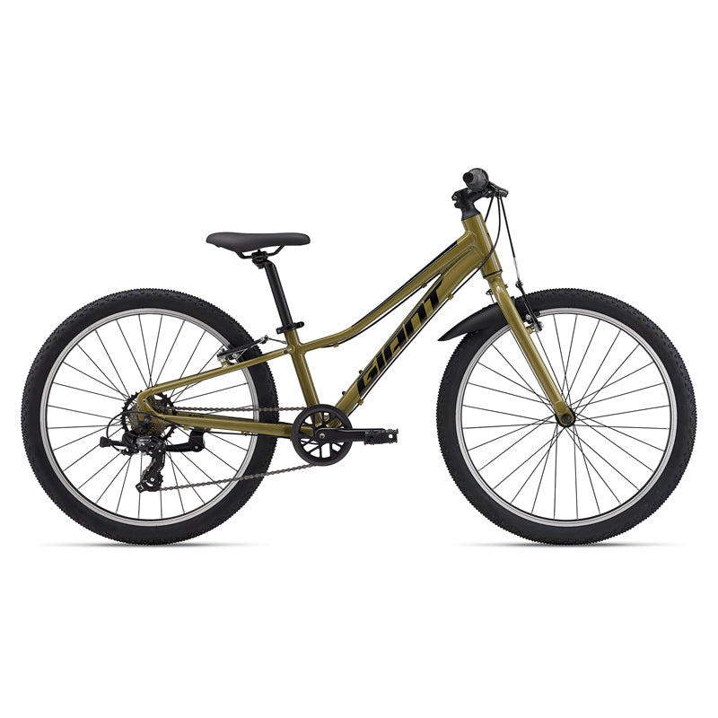 Talon 24 Lite