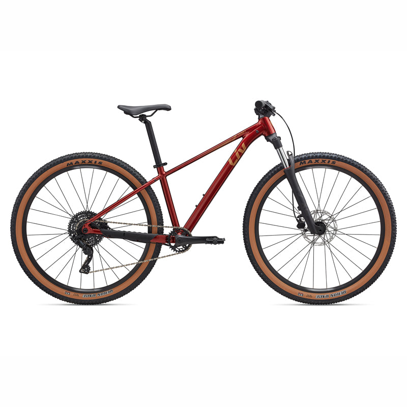 Liv Tempt 29 2 Mountain Bike - CyclErie eBikes Erie & Longmont CO