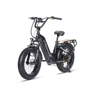 Troxus Lynx 20'' Fat Tire E-bike