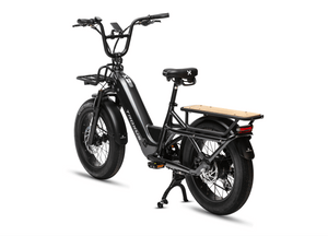 Troxus Lynx Cargo E-bike