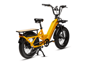 Troxus Lynx Cargo E-bike