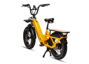 Troxus Lynx Cargo E-bike