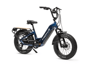 Troxus Lynx Plus 20" Fat Tire E-Bike