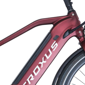 Troxus Trax Commuter E-Bike